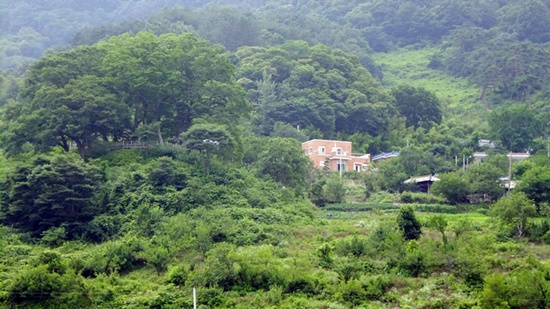 섬진강 강물위에서 바라본 구담마을, 가운데가 마을회관이고 맨 왼편에 당산나무와 정자가 있다.