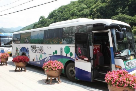 철도와 연계한 태백시의 시티투어버스