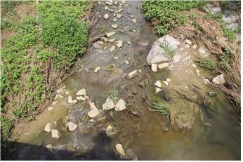 처리되지 않은 오폐수가 영산강 본류로 흘러들고 있는 모습은 곳곳에서 발견되었습니다.