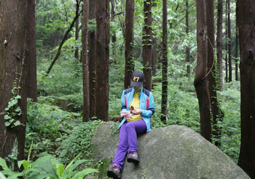 전남 장성에 있는 축령산 휴양림. 조림왕 임종국 선생이 가꾼 인공숲이다. 최근엔 치유의 숲으로 각광받고 있다.