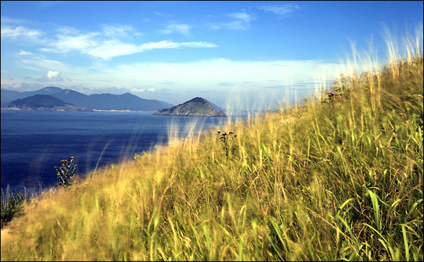 남해의 섬, 언덕 산책길에 바라본 남해의 작은 섬들과 바람에 흔들리는 풀들이 섬에 있음을 실감나게 한다.