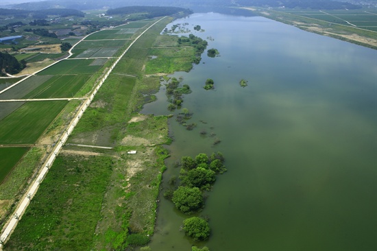 낙동강 복원 부산시민운동본부는 "경천대 상류지역으로 강변의 나무들도 죽어가고 있으며 2012년에 보이지 않던 녹조 현상이 뚜렷하고 강물은 매우 탁하다"고 밝혔다. 
