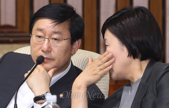 민주당 박범계 의원이 24일 법무부 기관보고를 위한 국정원 국조특위 전체회의에서 박영선 의원과 얘기하고 있다.