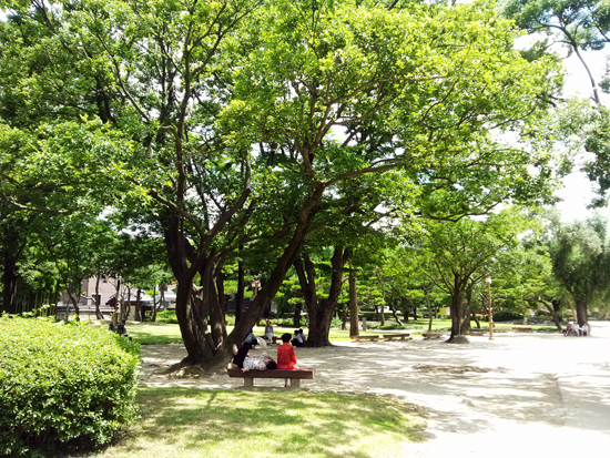 한 여름 땡볕이지만 광한루원 내 나무그늘에서 여유로운 휴식을 즐기는 어르신들.