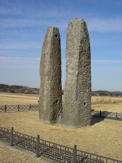 논 한가운데 우뚝서있는데 기운이 대단해 보인다
