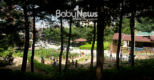 친환경 급식 등 생태보육을 실천하고 있는 서울 도봉구 창3동어린이집.