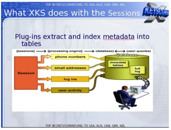  '엑스키스코어'에 대한 NSA 교육 자료. 전화번호, 이메일 주소, 로그인 기록, 인터넷 활동 등을 통해 수집한 정보는 데이터베이스에 저장돼 분석관이 수시로 조회 가능하다.  