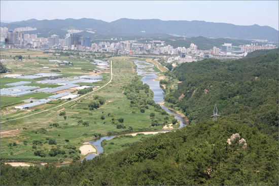 대전 갑천 월평공원(자료사진)