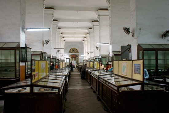 인도박물관 내부 