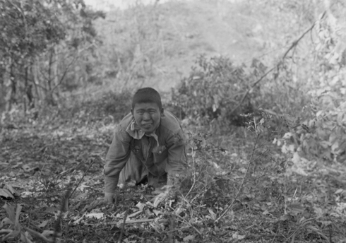 유엔군의 총구 앞에 짐승처럼 기고 있는 어느 인민군 포로(1951. 9. 20.).