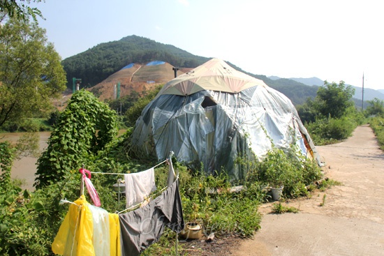 영주댐 공사로 수몰위기에 놓여 있는 내성천의 변화되는 상황을 기록하고 있는 지율 스님은 경북 영주시 평은면 금광리 강둑에 텐트를 치고 살고 있다.