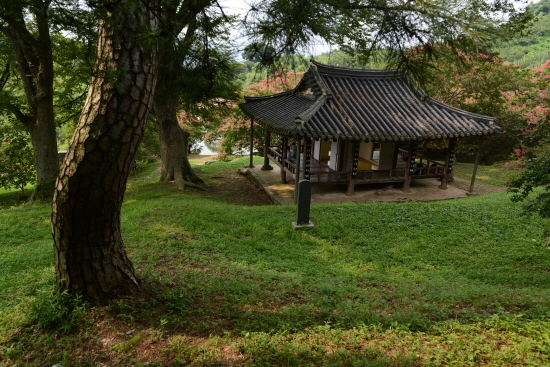 명옥헌 우측으로 조그만 개울물이 있고 정자 너머로 연못이 보인다. 그 개울물이 흐르는 소리가 옥구슬에 부딪히는 것과 같다하여 명옥헌으로 이름지었다 한다.