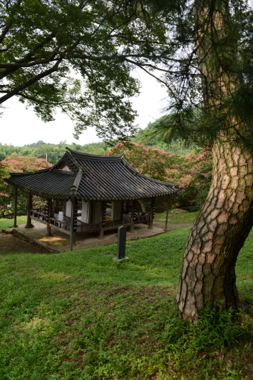 백송과 비석, 정자 등이 세월을 느끼게 한다.