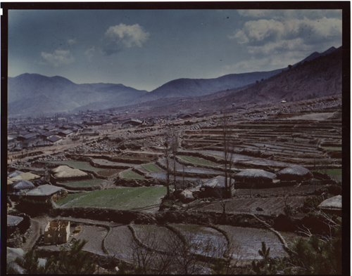 거제포로수용소 부근의 산과 들(1952. 2. 20.).