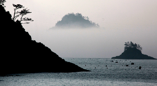 하조도 신전해변에서 맞이한 새벽 풍경인데 해무가 끼어 마치 한 폭의 산수화를 연상시킨다.