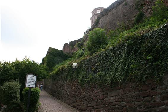       하이델베르크 성벽 길