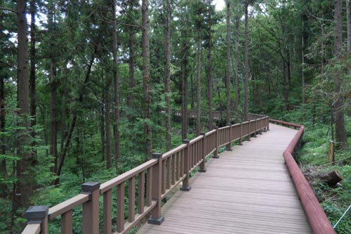 제암산자연휴양림의 데크로드. 남녀노소 누구나 걷기 편하게 놓여 있다.