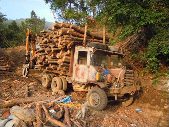 자동차 박물관에나 있음직한 낡은 트럭이 운행되고 있었다, 그것도 가파른 산자락의 벌목현장에서