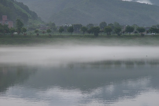이른 아침, 안개 피어오르는 북한강입니다. 화천(華川), 활짝 핀 평화의 꽃이 아름다운 강물 따라 유유히 흐르는 도시
