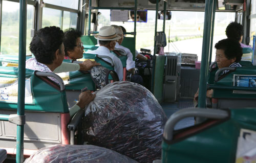 정표 씨가 운전하고 있는 장흥교통 버스의 내부. 승객들이 대부분 할아버지와 할머니들이다.