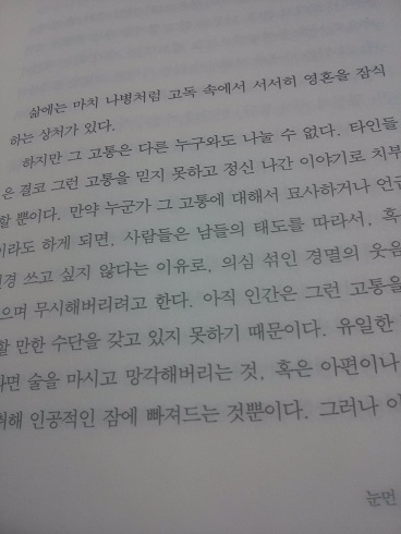 매혹적인 첫 문장으로 시작하고 있는 <눈먼 부엉이>