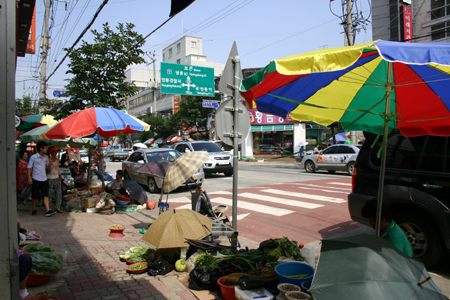  오늘의 충북 영동장터(2013. 7. 30.).