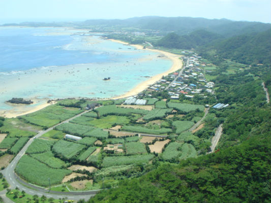        아마미오시마 섬 북동쪽 아마미시 가사리초 마을과 사탕수수밭 그리고 산호로 덮인 바닷가입니다. 지상 150 미터 부근 북쪽에서 찍은 것입니다. 