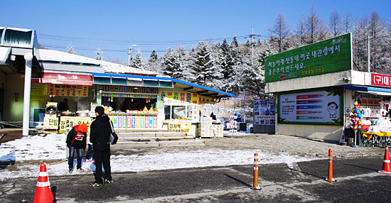 대관령마을휴게소, 양떼목장 들어가는 길 입구(2012년 11월)