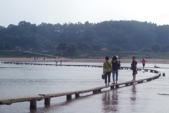  건설교통부가 선정한 '한국의 아름다운 길 100선'에 뽑힌 무섬외나무다리.