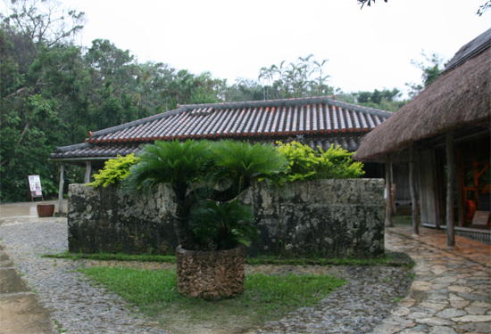 집 마당의 돌벽이 태풍의 바람을 막아준다.