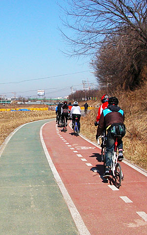 서울의 한 자전거도로. 보행자 산책로와 자전거도로가 구분이 돼 있다. 자전서 사고를 막기 위해 도로를 구분해 놨지만, 보행자들이 자전거도로 위를 걸어다니는 일이 많아 늘 조심해야 한다.