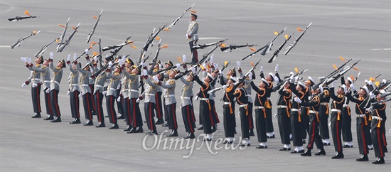 1일 오전 경기도 성남 서울공항에서 열린 건군 제65주년 국군의 날 기념행사에서 의장대가 멋진 시범을 선보이고 있다.