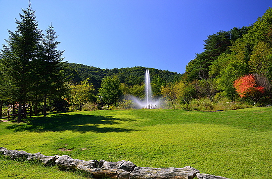 평강식물원은 청아한 자연의 향기를 통해 몸과 마음의 여유를 찾기에 적합한 곳이다. 