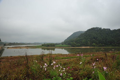 삼강주막 주변 풍경