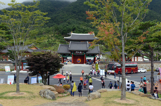 한방기체험장 2013산청세계전통의약엑스포 한방기체험장.