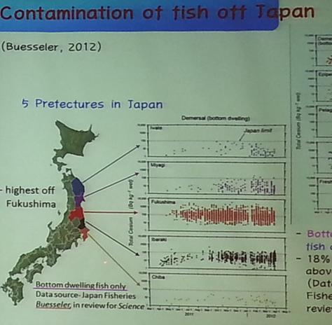   김은희교수가 발표한 일본의 생선 오염 수치(2012년)