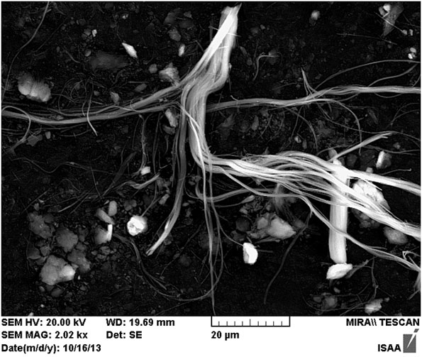 공사현장에서 채취한 사문석 골재 샘플을 전자현미경으로 확대한 사진