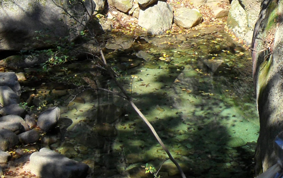 깔닥고개에서 내려오자 개울가 웅덩이에 낙엽만 둥둥 떠 있는 맑은 물이 고여 있었다.