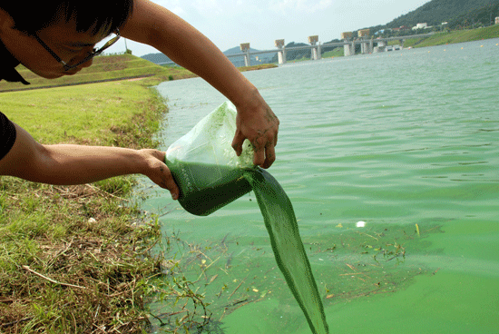 지난 8월 김성중 대전충남녹색연합 간사가 공주보가 보이는 수상무대공연장에서 떠 쏟자 녹색페인트를 강에 붙는 것처럼 보였다.
