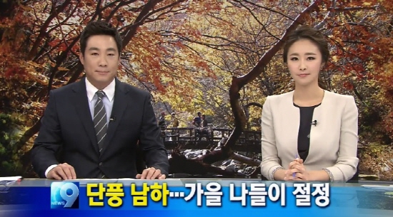 10월 26일 KBS <뉴스9> 화면 갈무리.