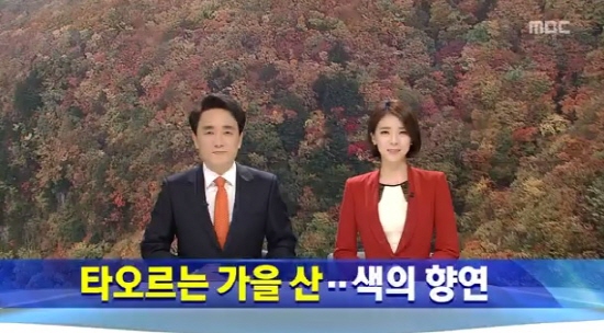 10월 26일 MBC <뉴스데스크> 화면 갈무리.
