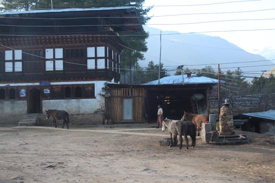 일반적인 부탄 농가의 모습. 일층은 가축의 집으로 그 윗층은 숙소, 그 위는 곳간으로 쓰인다.