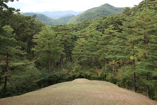 영경묘는 주위 산들이 포근하게 감싸는 울창한 솔숲에 자리하고 있다.