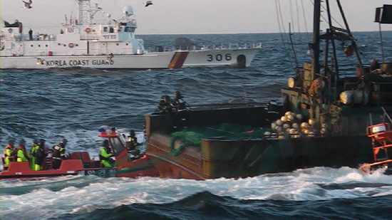 태안해경이 최근 나흘새 EEZ를 침범해 불법조업 하던 중국어선 5척을 잇따라 나포했다.