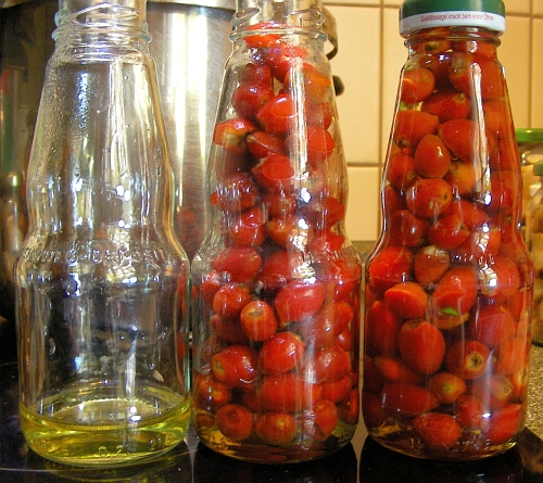 아가베 시럽을 병 밑바닥에 넣고 들장미 열매로 병을 꽉 채운 후, 뜨거운 물을 부어 뚜껑을 닫아 솥에 넣고 중탕한다.

