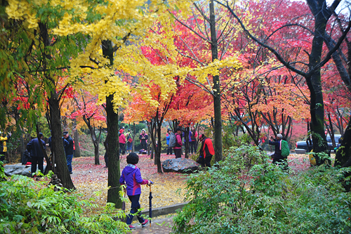 하산길