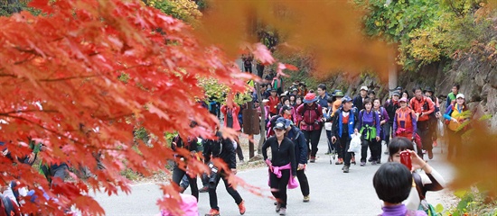 산림청이 주최한 제3회 지리산둘레길 걷기축제가 2일 함양 구간에서 열렸다.