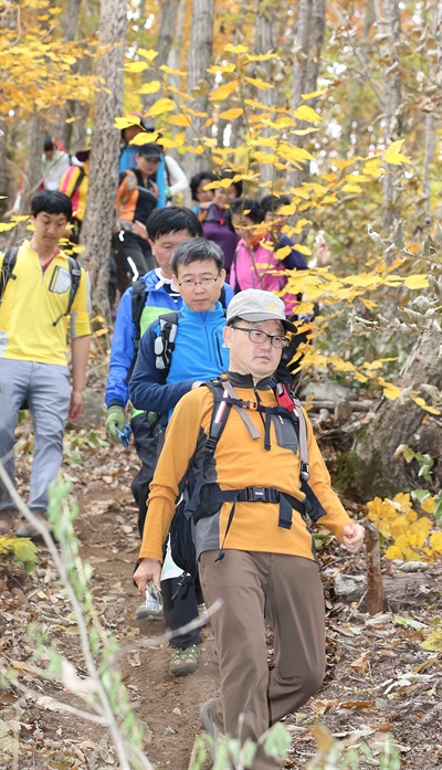 산림청이 주최한 제3회 지리산둘레길 걷기축제가 2일 함양 구간에서 열렸다. 신원섭 산림청장이 참가자들과 함께 걷고 있다.