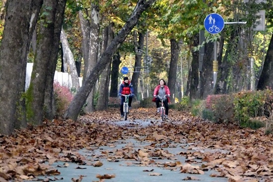 보행로와 자전거 도로가 널찍해서 자전거 타기에도 좋은 화랑로. 