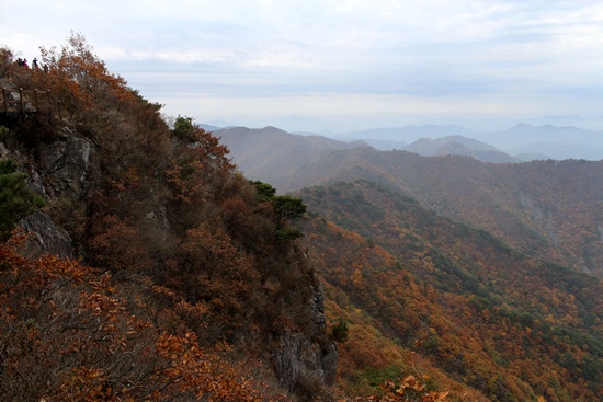 수수한 여항산의 단풍은 자연의 섭리를 보는 법을 보시했다.